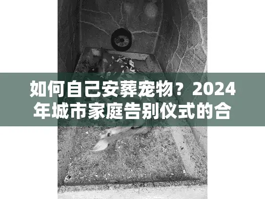 如何自己安葬宠物？2024年城市家庭告别仪式的合规实操