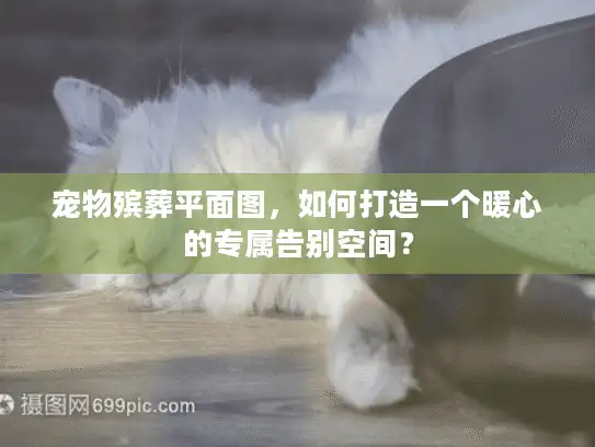 宠物殡葬平面图，如何打造一个暖心的专属告别空间？