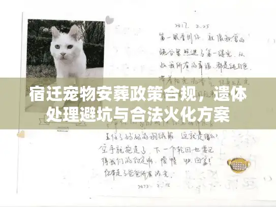 宿迁宠物安葬政策合规，遗体处理避坑与合法火化方案