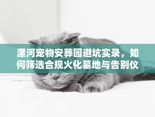 漯河宠物安葬园避坑实录,如何筛选合规火化墓地与告别仪式? 漯河宠物安葬园避坑实录,如何筛选合规火化墓地与告别仪式?
