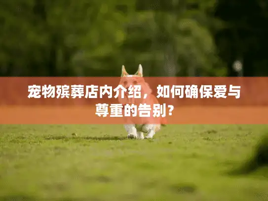 宠物殡葬店内介绍，如何确保爱与尊重的告别？