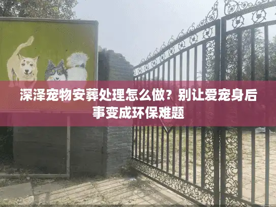 深泽宠物安葬处理怎么做？别让爱宠身后事变成环保难题