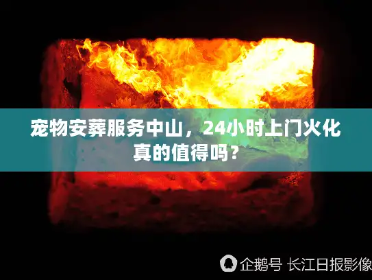 宠物安葬服务中山，24小时上门火化真的值得吗？