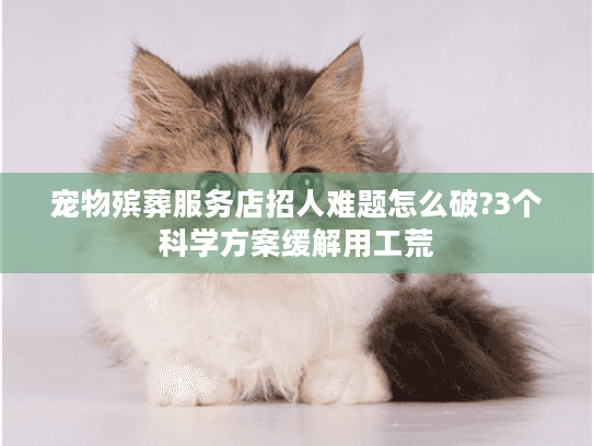 宠物殡葬服务店招人难题怎么破?3个科学方案缓解用工荒