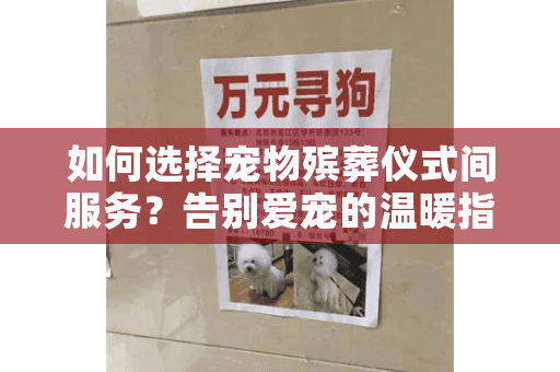 如何选择宠物殡葬仪式间服务？告别爱宠的温暖指南