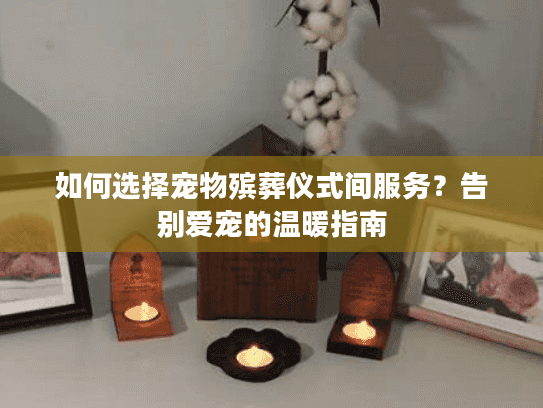 如何选择宠物殡葬仪式间服务？告别爱宠的温暖指南