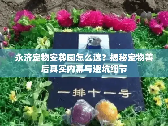 永济宠物安葬园怎么选？揭秘宠物善后真实内幕与避坑细节