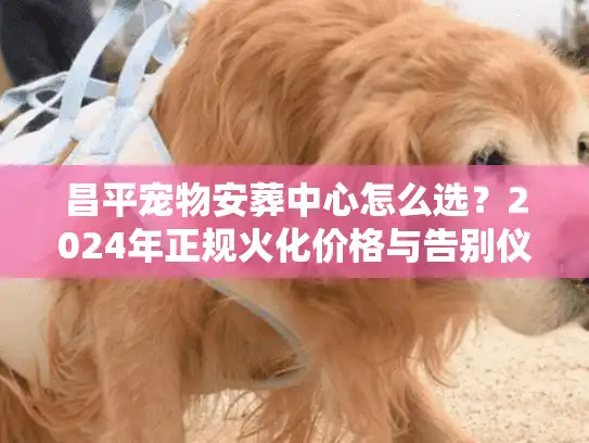 昌平宠物安葬中心怎么选？2024年正规火化价格与告别仪式避坑实录