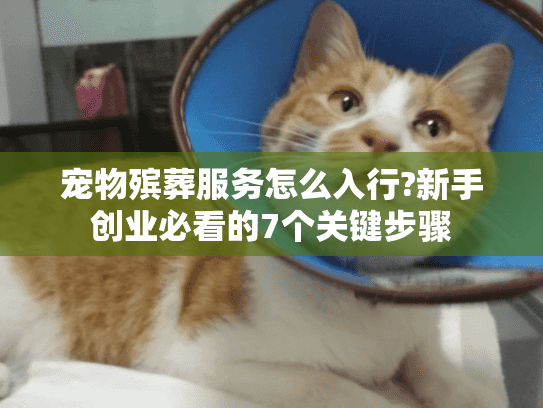 宠物殡葬服务怎么入行?新手创业必看的7个关键步骤