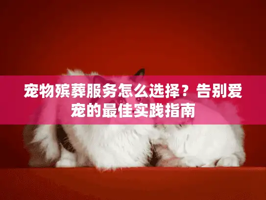 宠物殡葬服务怎么选择？告别爱宠的最佳实践指南