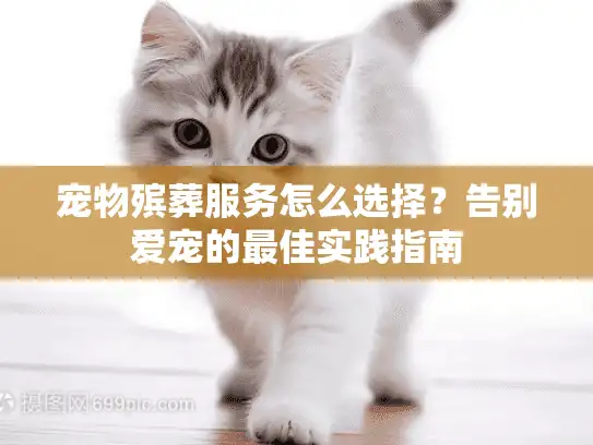 宠物殡葬服务怎么选择？告别爱宠的最佳实践指南