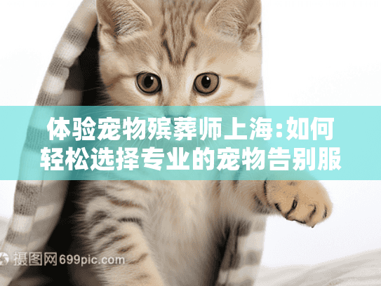 体验宠物殡葬师上海:如何轻松选择专业的宠物告别服务