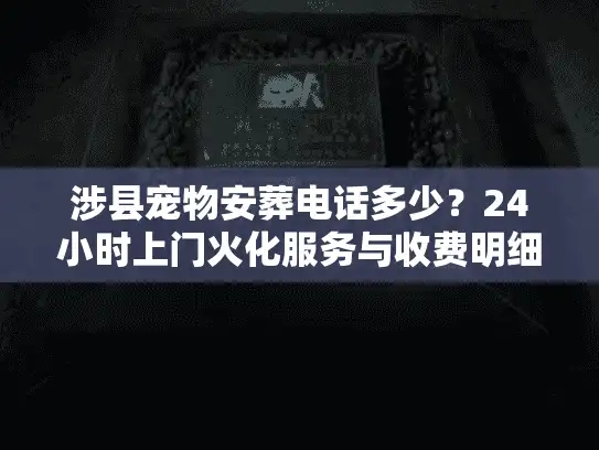 涉县宠物安葬电话多少？24小时上门火化服务与收费明细