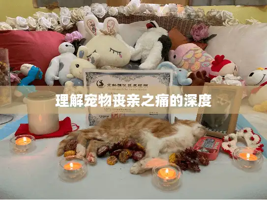 理解宠物丧亲之痛的深度