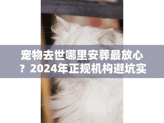宠物去世哪里安葬最放心？2024年正规机构避坑实录
