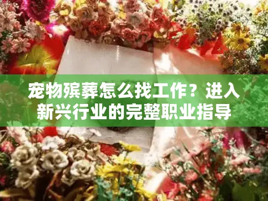 宠物殡葬怎么找工作？进入新兴行业的完整职业指导