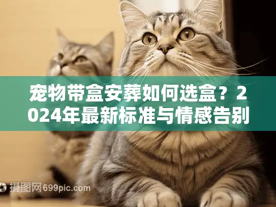 宠物带盒安葬如何选盒？2024年最新标准与情感告别方案