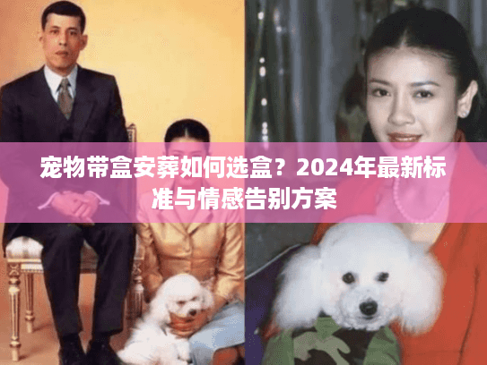 宠物带盒安葬如何选盒？2024年最新标准与情感告别方案