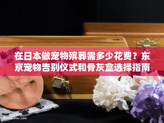 在日本做宠物殡葬需多少花费？东京宠物告别仪式和骨灰盒选择指南
