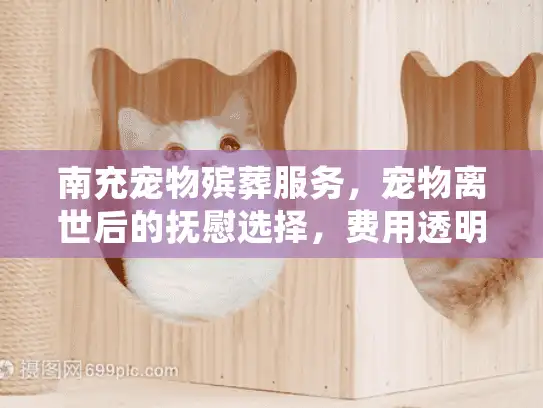 南充宠物殡葬服务,宠物离世后的抚慰选择,费用透明吗? 南充宠物殡葬服务,宠物离世后的抚慰选择,费用透明吗?