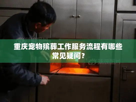 重庆宠物殡葬工作服务流程有哪些常见疑问？