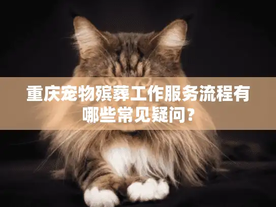 重庆宠物殡葬工作服务流程有哪些常见疑问？