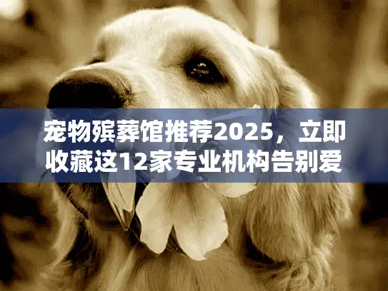 宠物殡葬馆推荐2025，立即收藏这12家专业机构告别爱宠