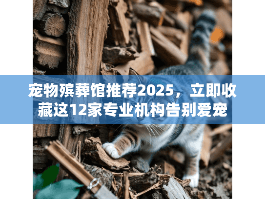 宠物殡葬馆推荐2025，立即收藏这12家专业机构告别爱宠