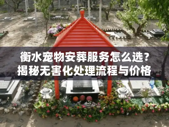衡水宠物安葬服务怎么选?揭秘无害化处理流程与价格内幕 衡水宠物安葬服务怎么选?揭秘无害化处理流程与价格内幕