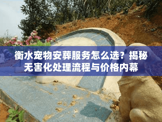 衡水宠物安葬服务怎么选?揭秘无害化处理流程与价格内幕 衡水宠物安葬服务怎么选?揭秘无害化处理流程与价格内幕