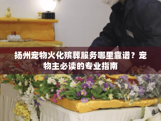 扬州宠物火化殡葬服务哪里靠谱?宠物主必读的专业指南 扬州宠物火化殡葬服务哪里靠谱?宠物主必读的专业指南
