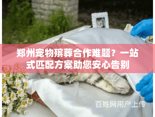 郑州宠物殡葬合作难题?一站式匹配方案助您安心告别 郑州宠物殡葬合作难题?一站式匹配方案助您安心告别