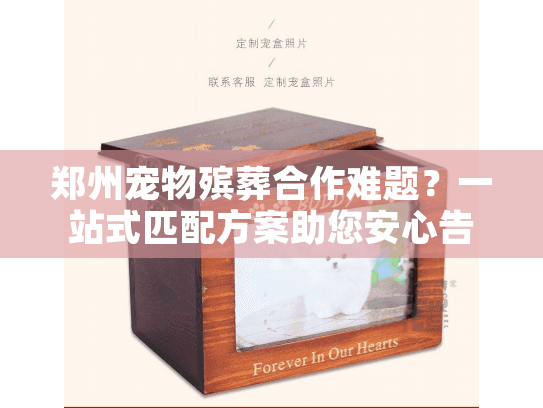 郑州宠物殡葬合作难题?一站式匹配方案助您安心告别 郑州宠物殡葬合作难题?一站式匹配方案助您安心告别