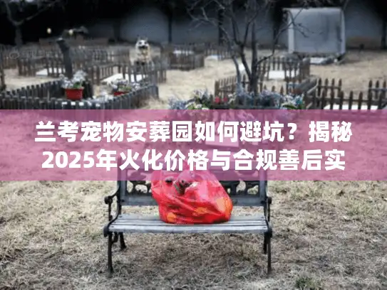 兰考宠物安葬园如何避坑？揭秘2025年火化价格与合规善后实况