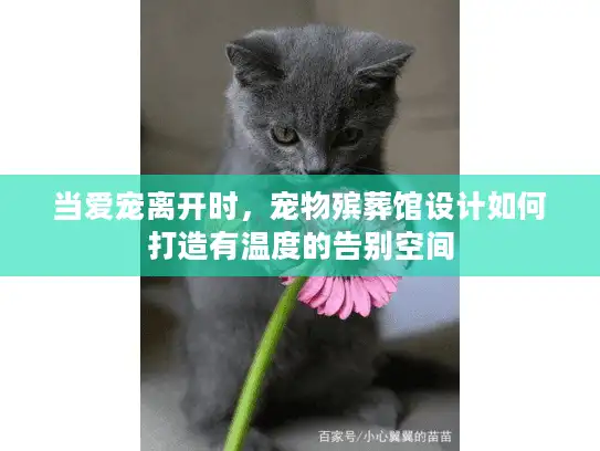 当爱宠离开时，宠物殡葬馆设计如何打造有温度的告别空间