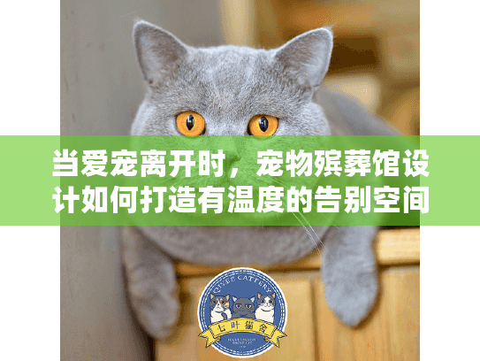 当爱宠离开时，宠物殡葬馆设计如何打造有温度的告别空间