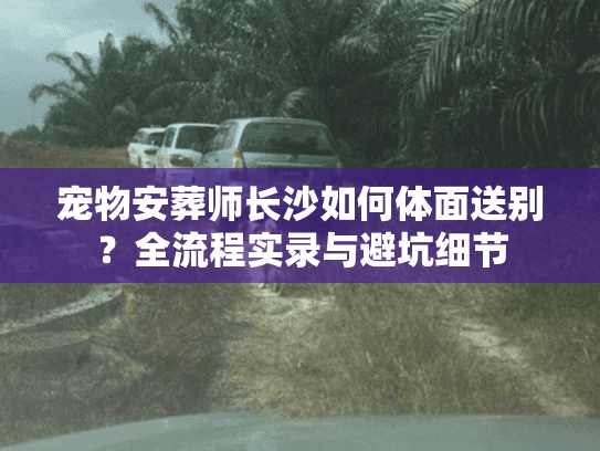 宠物安葬师长沙如何体面送别？全流程实录与避坑细节