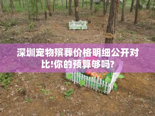 深圳宠物殡葬价格明细公开对比!你的预算够吗?