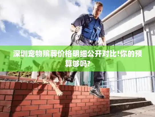 深圳宠物殡葬价格明细公开对比!你的预算够吗?