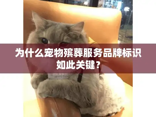 为什么宠物殡葬服务品牌标识如此关键？