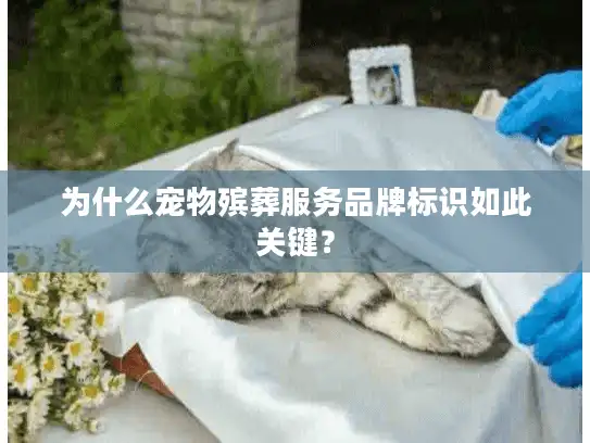 为什么宠物殡葬服务品牌标识如此关键？