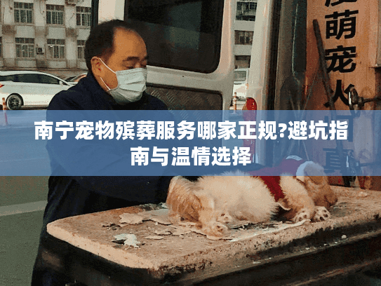 南宁宠物殡葬服务哪家正规?避坑指南与温情选择