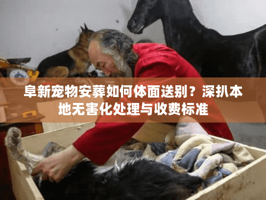 阜新宠物安葬如何体面送别？深扒本地无害化处理与收费标准