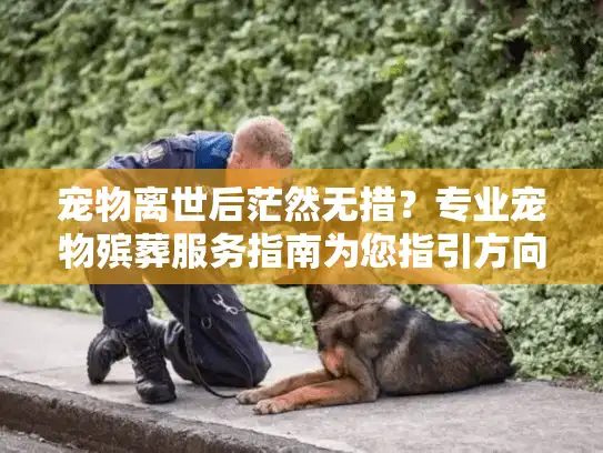 宠物离世后茫然无措？专业宠物殡葬服务指南为您指引方向