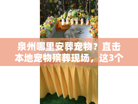 泉州哪里安葬宠物?直击本地宠物殡葬现场,这3个地方值得托付 泉州哪里安葬宠物?直击本地宠物殡葬现场,这3个地方值得托付