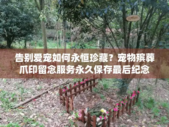 告别爱宠如何永恒珍藏？宠物殡葬爪印留念服务永久保存最后纪念