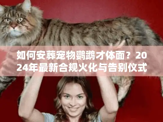 如何安葬宠物鹦鹉才体面？2024年最新合规火化与告别仪式实操