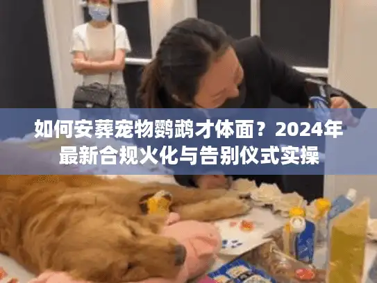 如何安葬宠物鹦鹉才体面？2024年最新合规火化与告别仪式实操