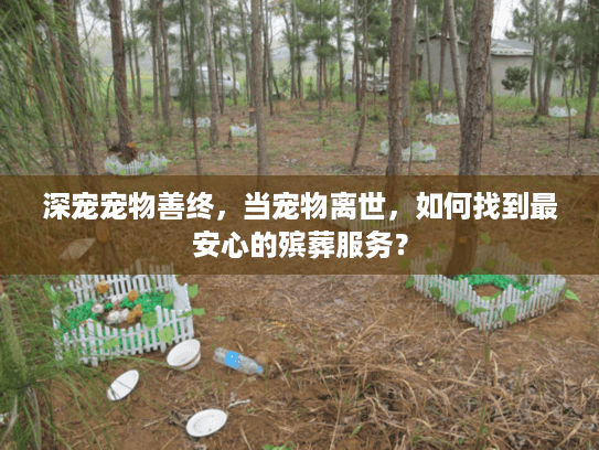 深宠宠物善终，当宠物离世，如何找到最安心的殡葬服务？