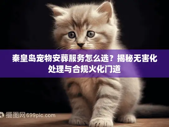 秦皇岛宠物安葬服务怎么选?揭秘无害化处理与合规火化门道 秦皇岛宠物安葬服务怎么选?揭秘无害化处理与合规火化门道